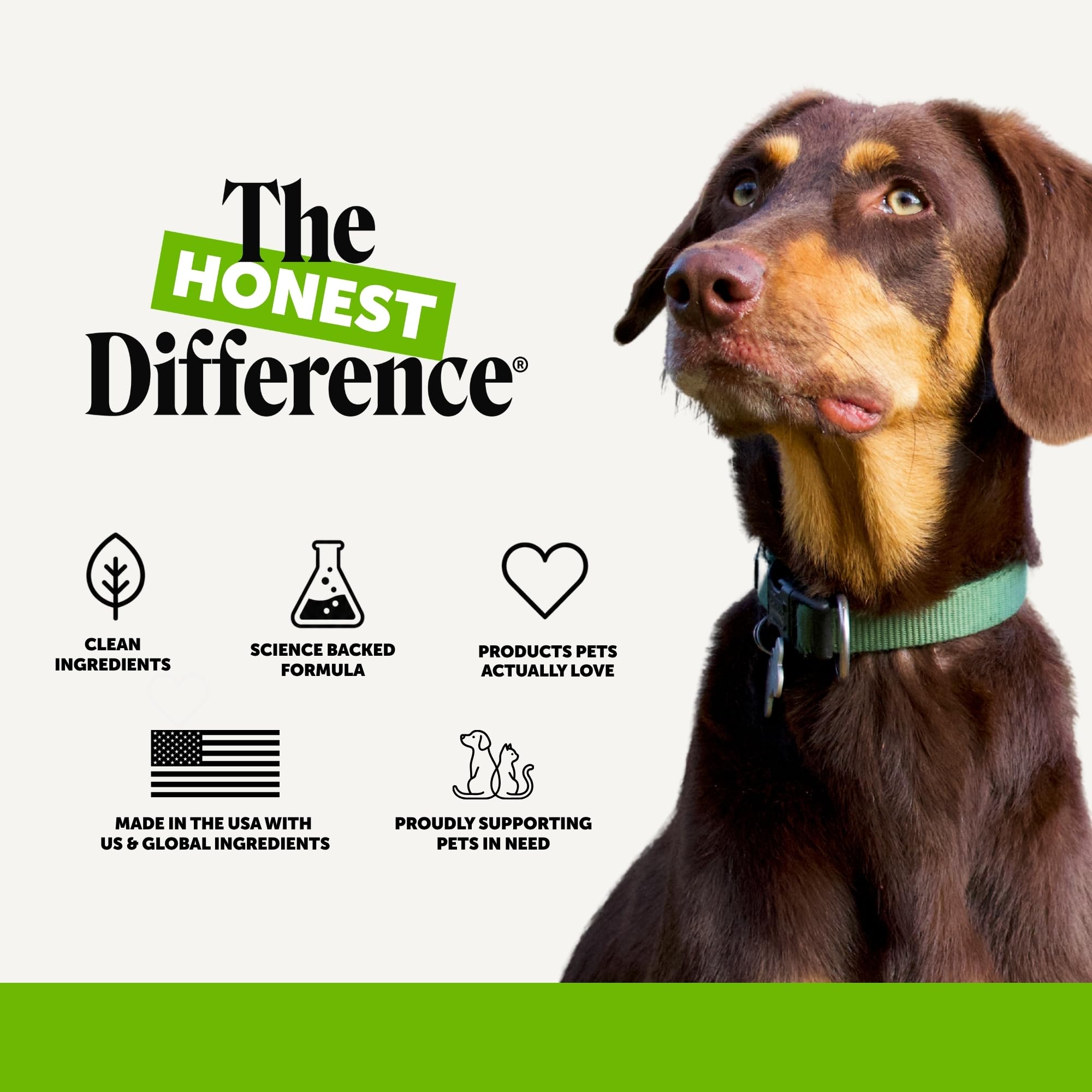 Pet Honesty owner giving chew to dog showing acceptance and routine benefit