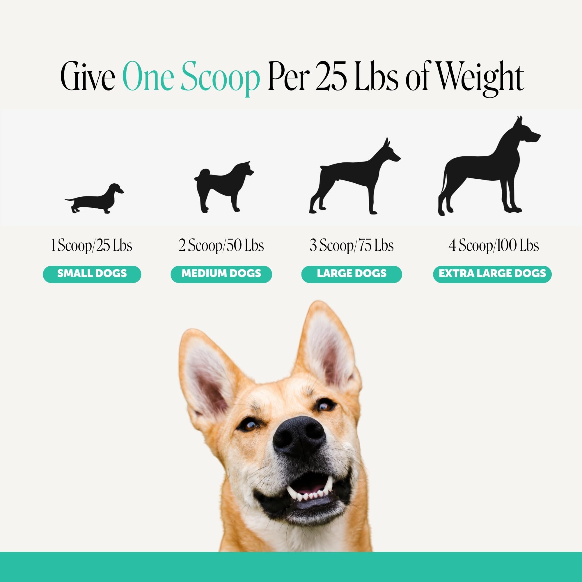 Pet Honesty manufacturing batch stamp emphasizing USA-made quality and NASC standards
