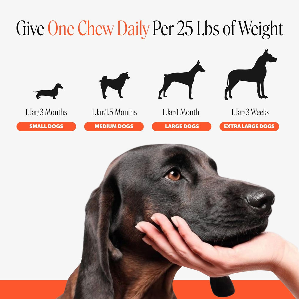 Pet Honesty nutrition facts close-up proving transparent ingredients