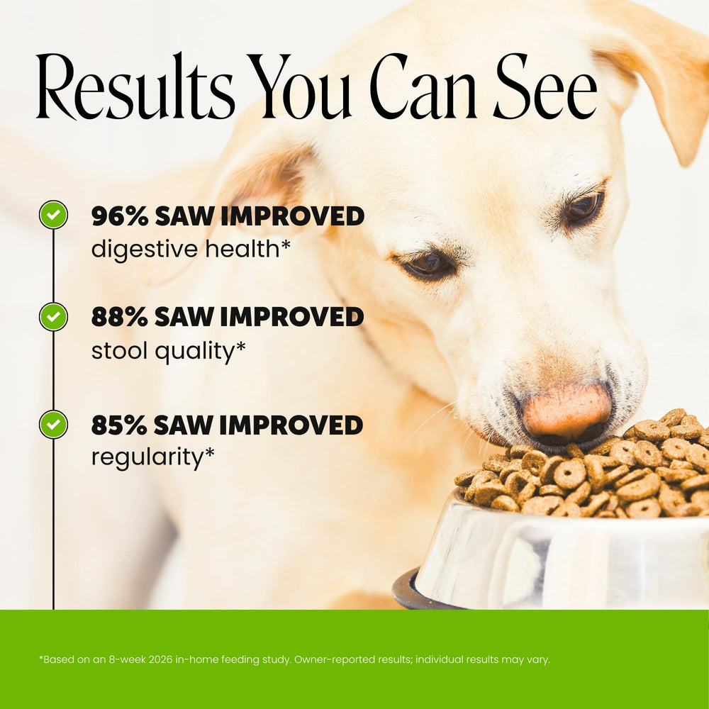 Pet Honesty open bottle with chews visible and easy daily dosing benefit