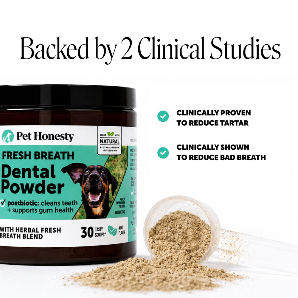 Pet Honesty open jar revealing fine mint-colored powder texture for even food coverage