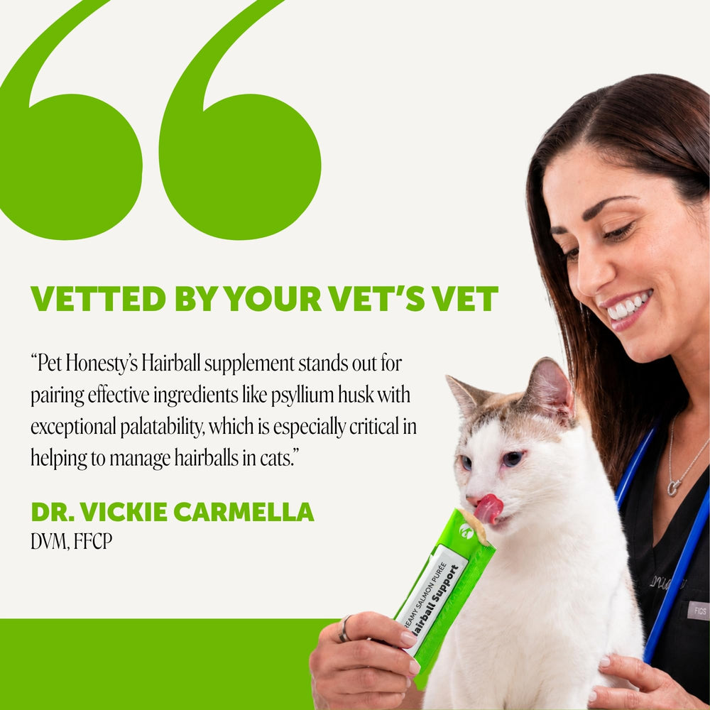 Pet Honesty pouch in hand to show size, simple single-serve convenience