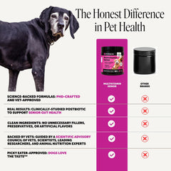 Pet Honesty soft chew in hand illustrating size and easy dosing