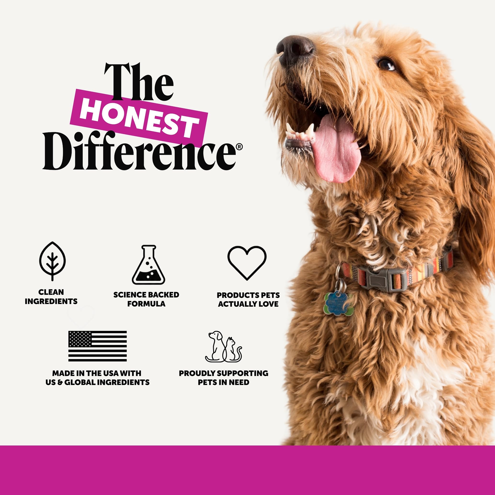 Pet Honesty senior dog walking comfortably on a neighborhood path
