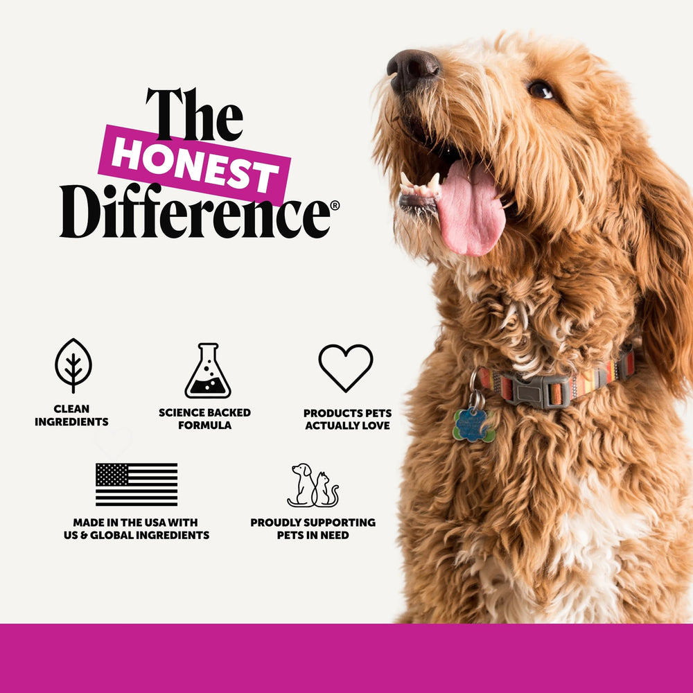 Pet Honesty senior dog walking comfortably on a neighborhood path