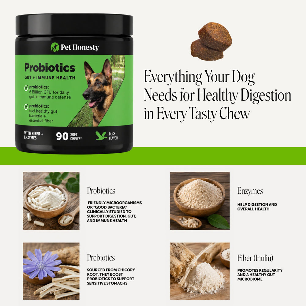 Pet Honesty serving size held in hand showing convenient daily chew portion