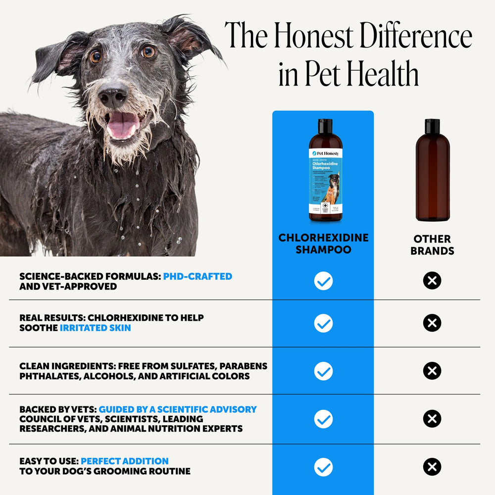 Pet Honesty bottle in hand for scale shows convenient 16 oz size