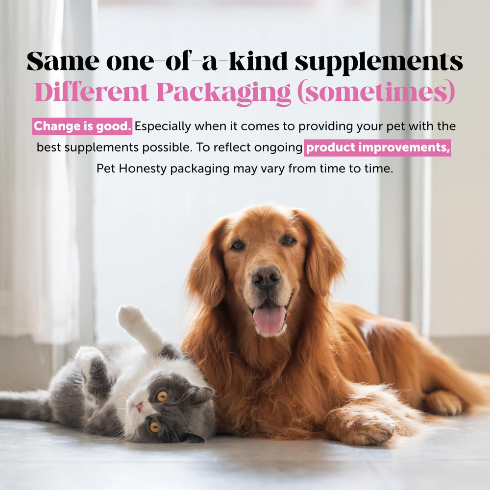 Pet Honesty supplement facts label close-up displaying ingredient transparency