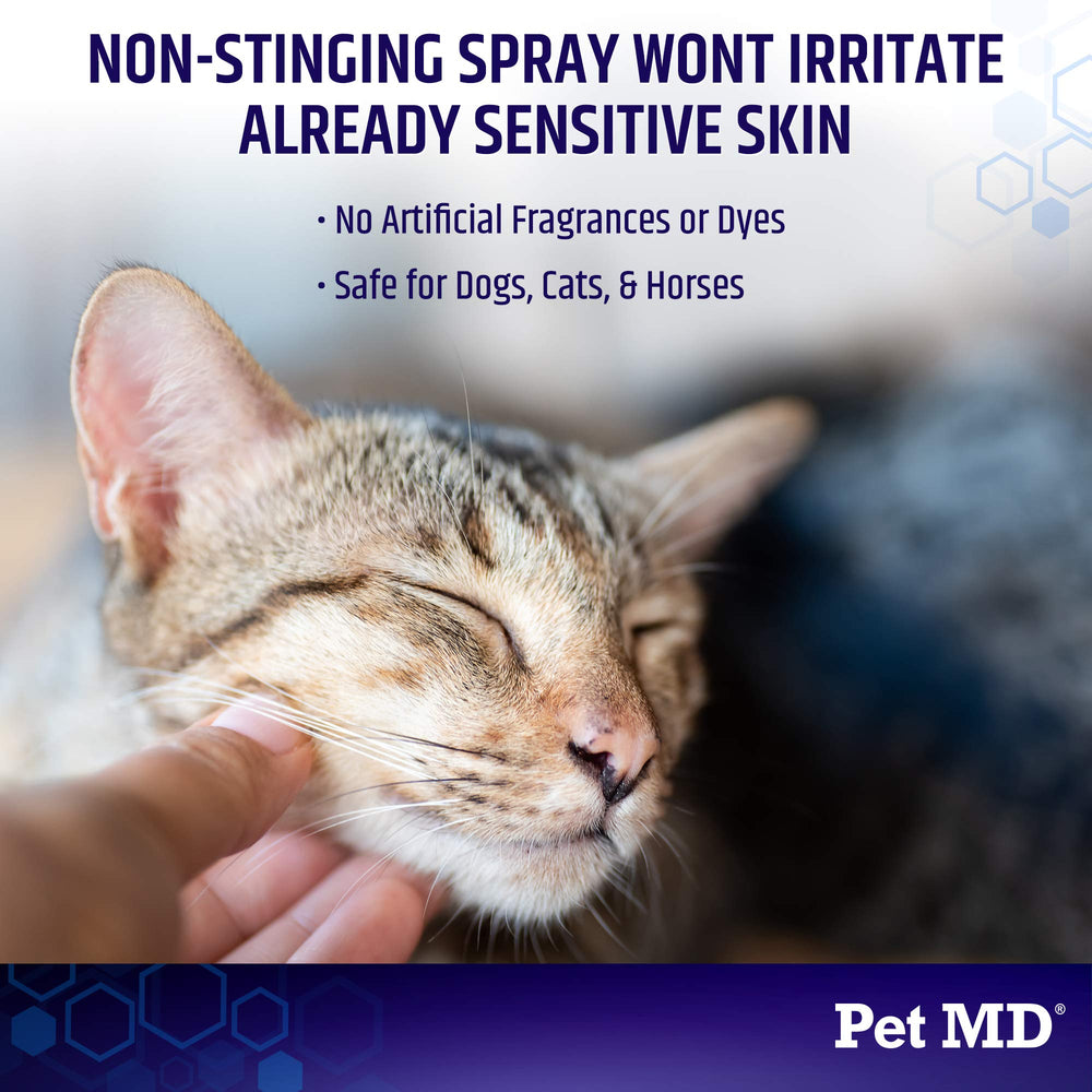 Pet MD being applied to a dog hot spot demonstrating quick targeted relief benefit