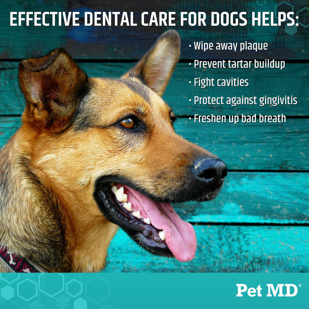 Pet MD wipe being used on a dog’s teeth illustrating convenient clean-up