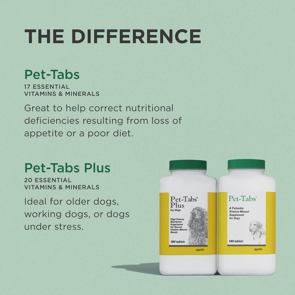 Pet-Tabs in a home scene with dog eating showing real-world use and enjoyment benefit