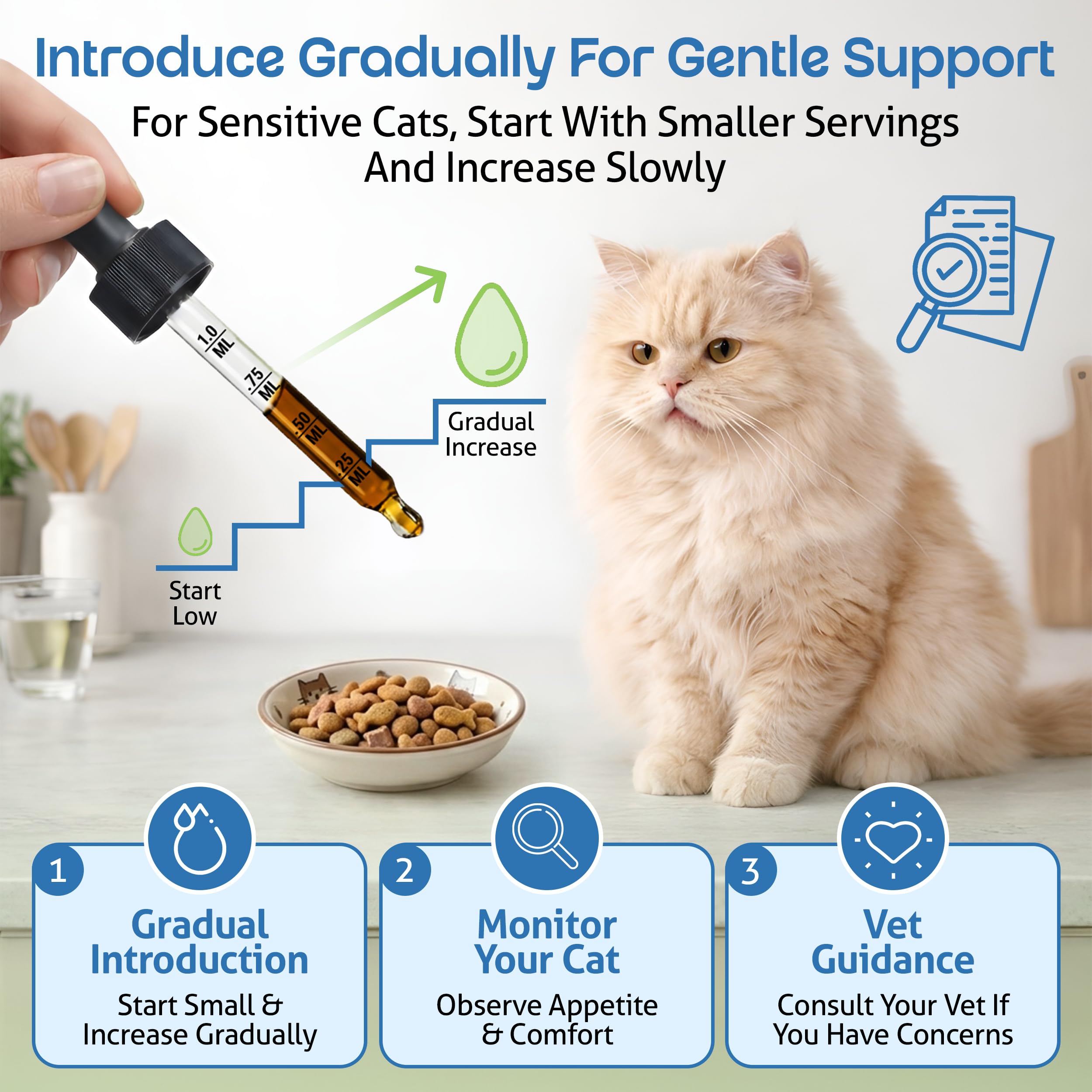 Pet Wellbeing being given to a cat to show easy administration