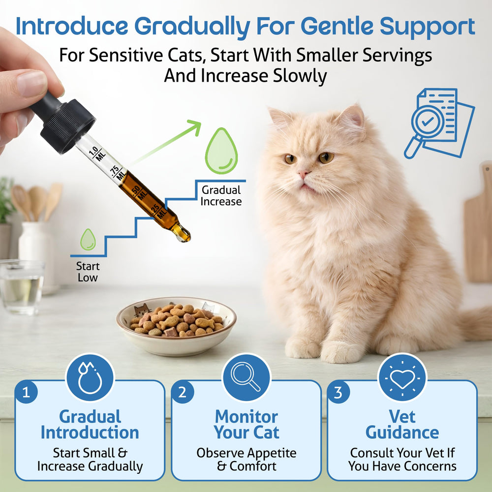 Pet Wellbeing being given to a cat to show easy administration