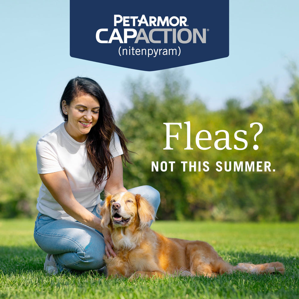 Dog playing outside with PetArmor CAPACTION box in scene showing active lifestyle