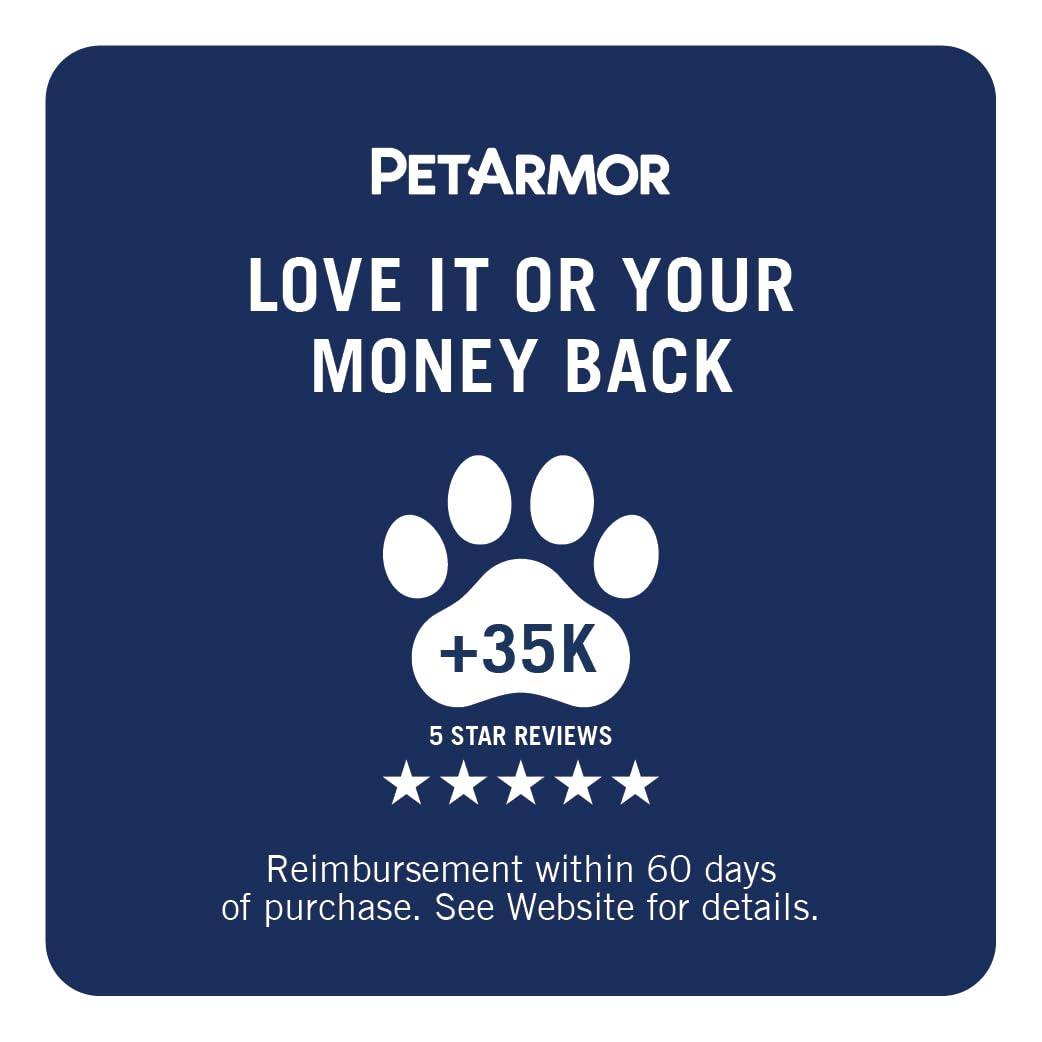PetArmor plus on a dog outdoors illustrating protection during activity