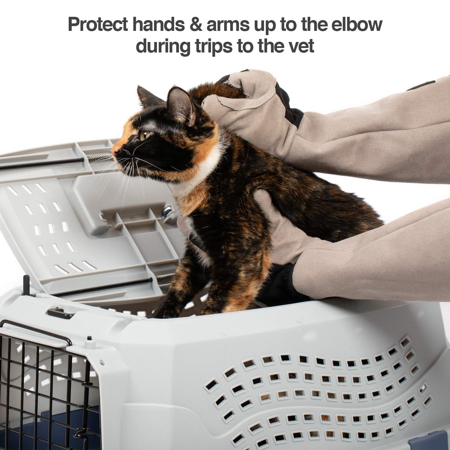 PetFusion glove calming cat in lap showing reduced pet anxiety benefit