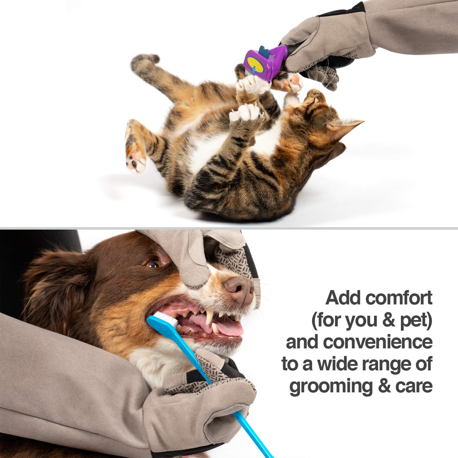 PetFusion glove materials label showing recyclable safe materials benefit