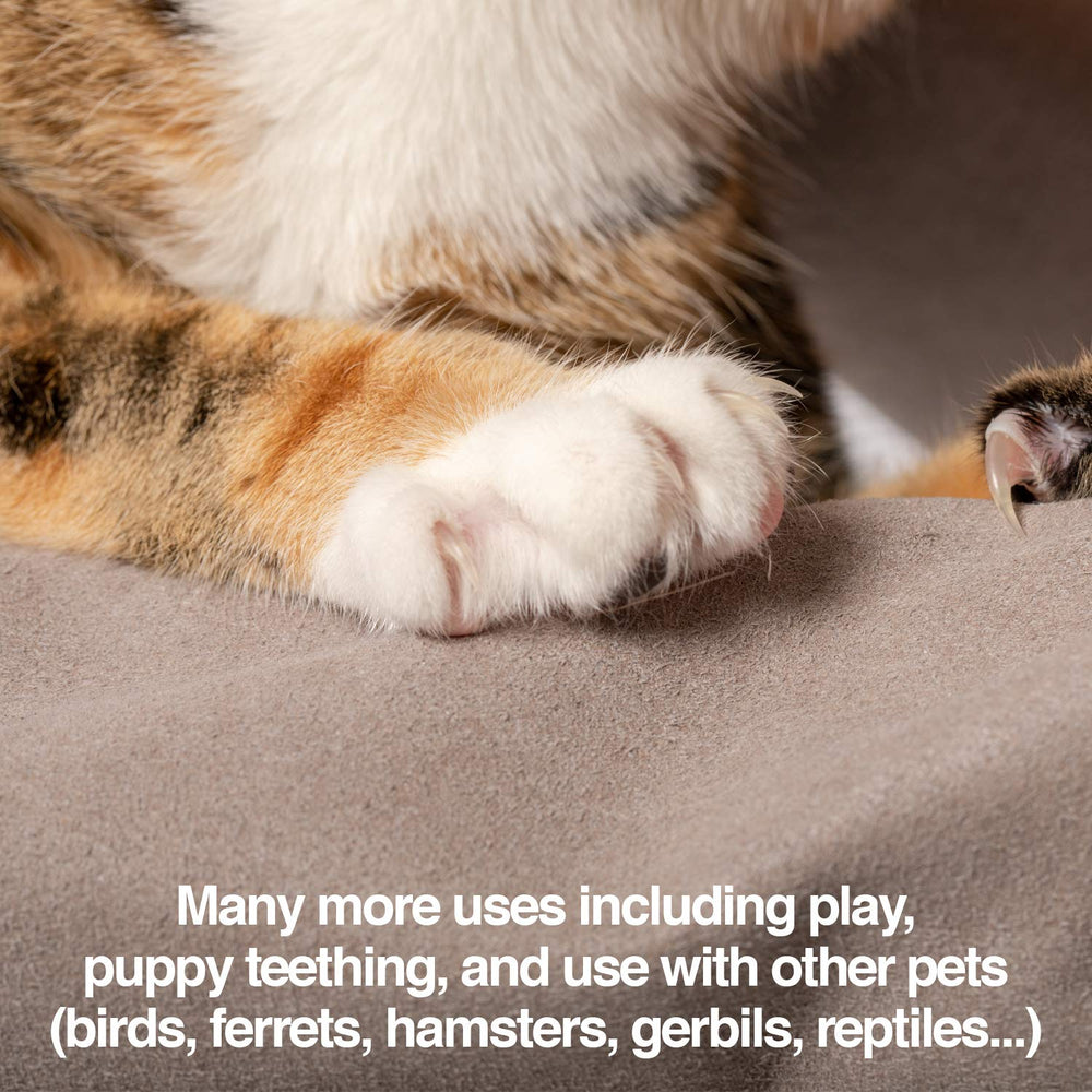 PetFusion glove size scale comparison showing fit and coverage benefit