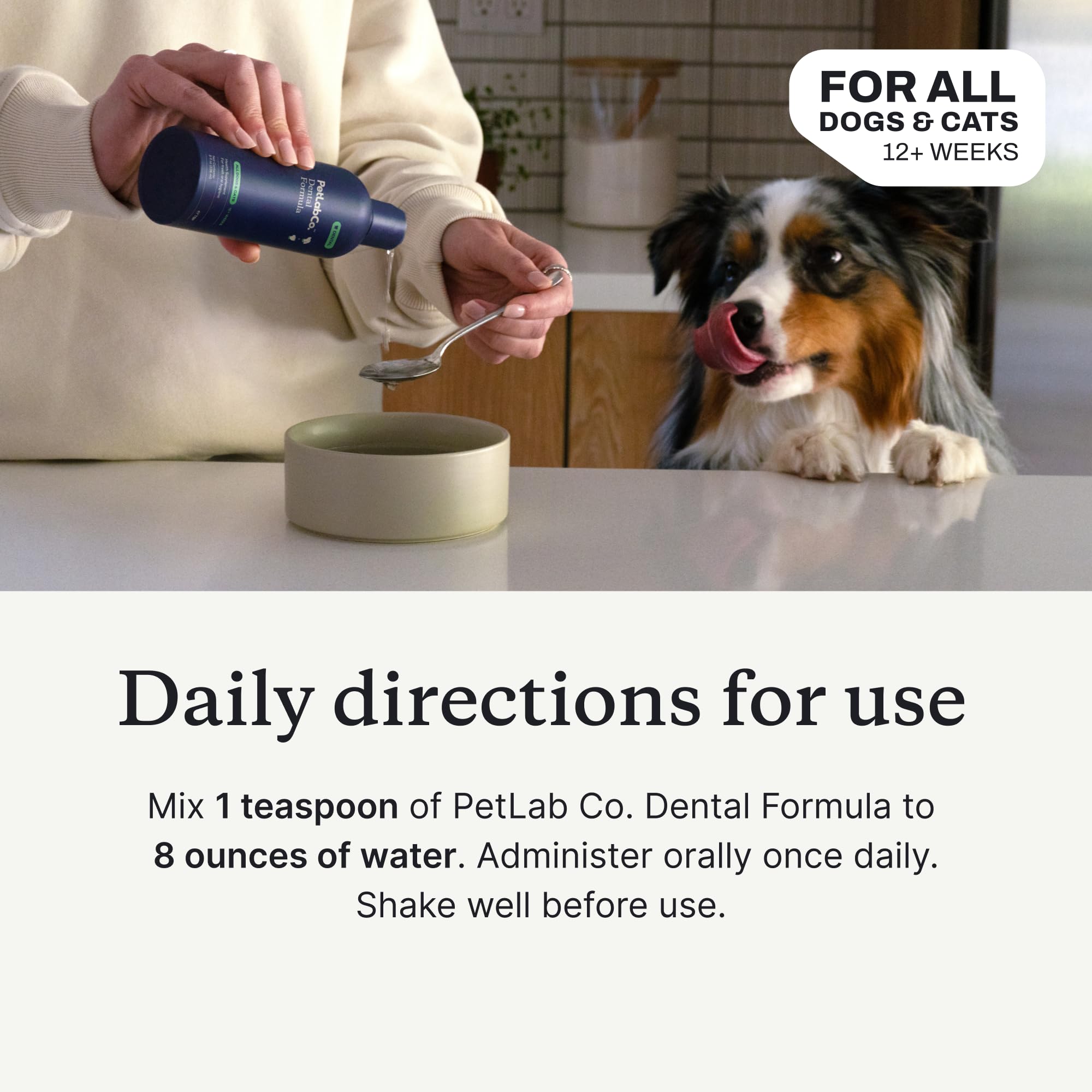 PetLab Co. dog drinking from bowl showing easy daily oral care