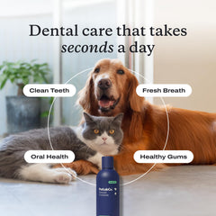PetLab Co. label close-up highlighting active ingredient and directions