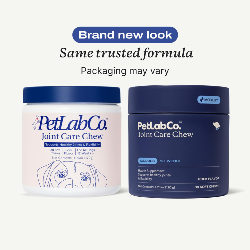 PetLab Co. open jar with pork-flavored soft chews ready to give