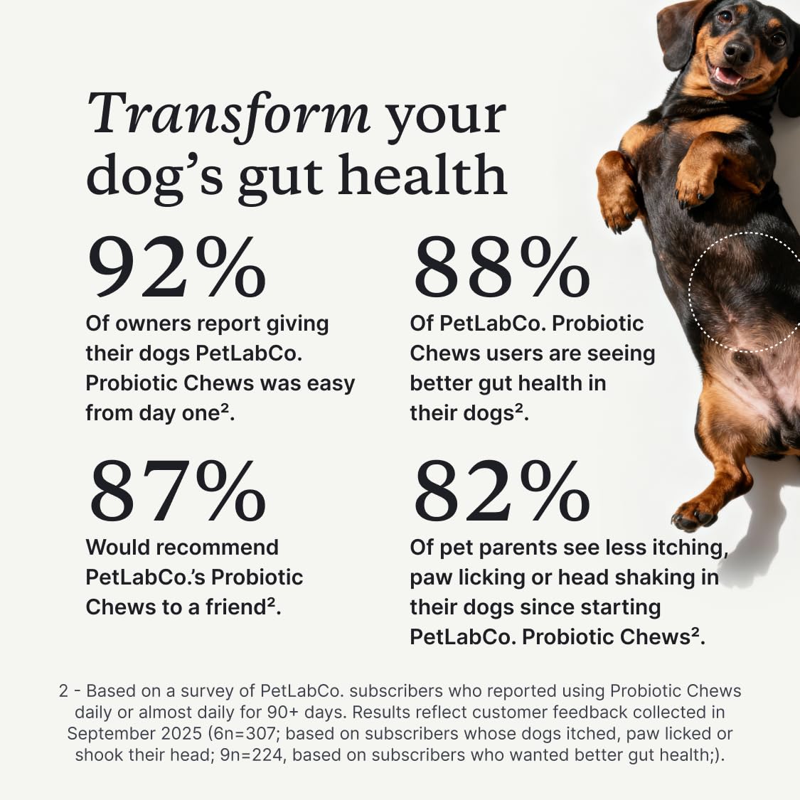 PetLab Co. chew texture detail showing soft consistency for easy chewing