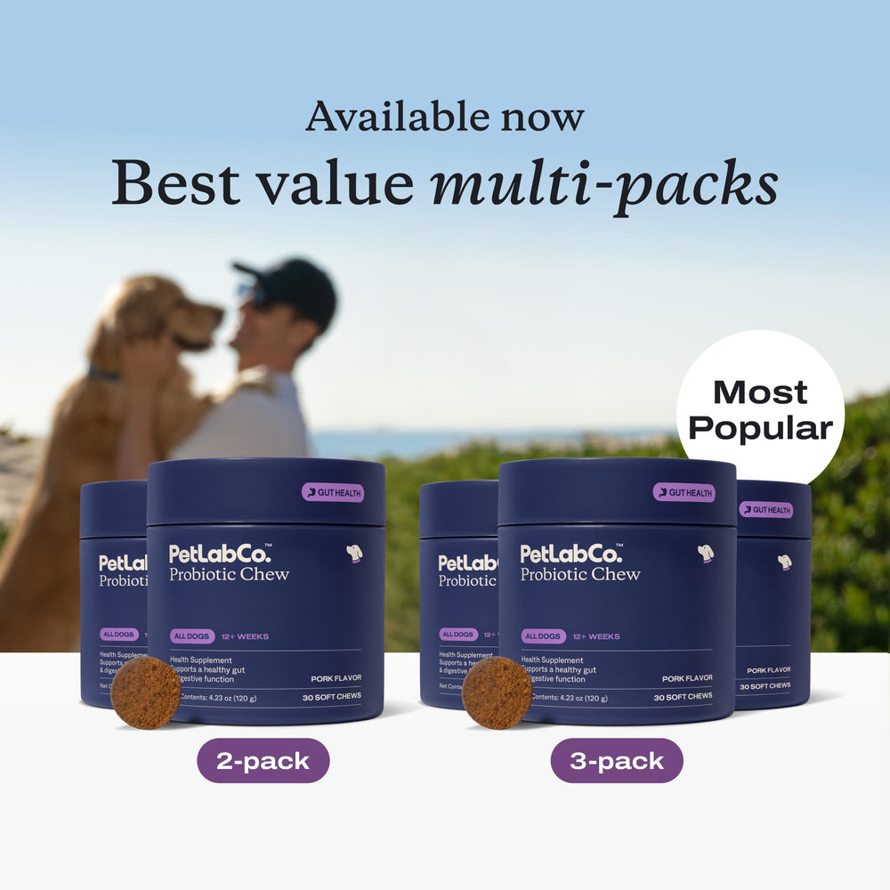 PetLab Co. dog accepting chew demonstrating palatability and ease