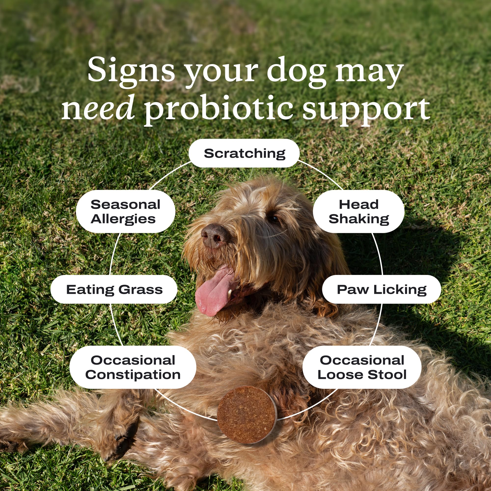 PetLab Co. product label with NASC seal showing trusted quality standards