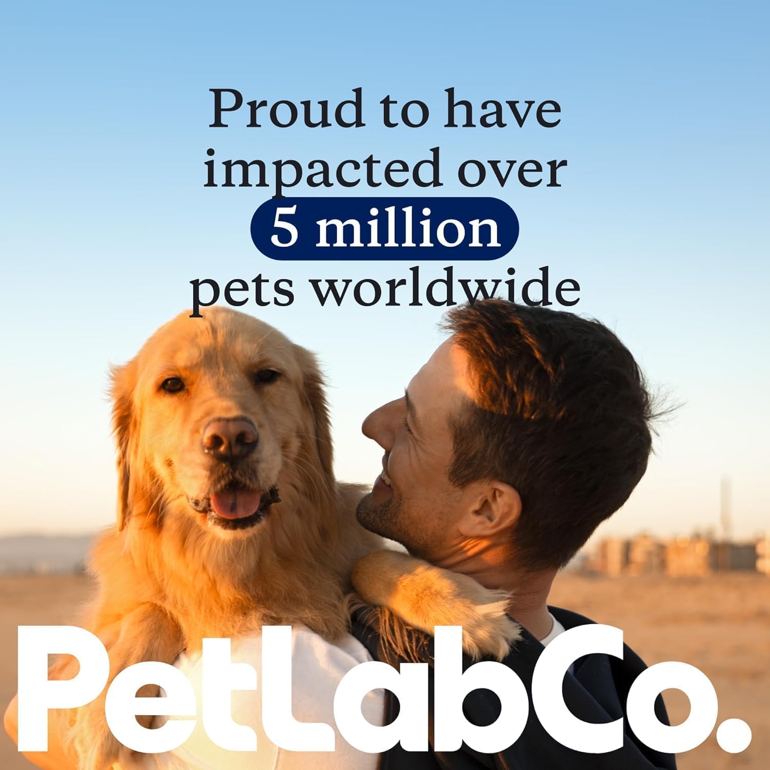 PetLab Co. relaxed dog on couch after use showing improved comfort
