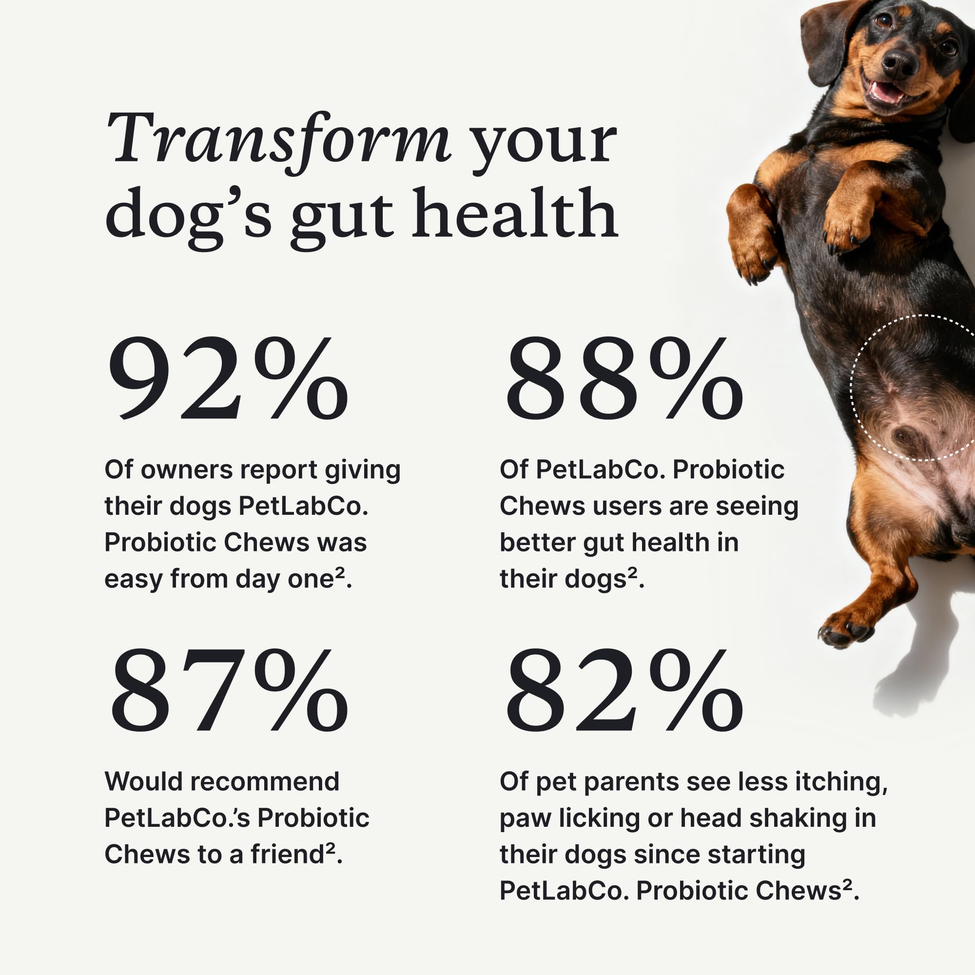PetLab Co. soft chew close-up showing texture and easy chewability