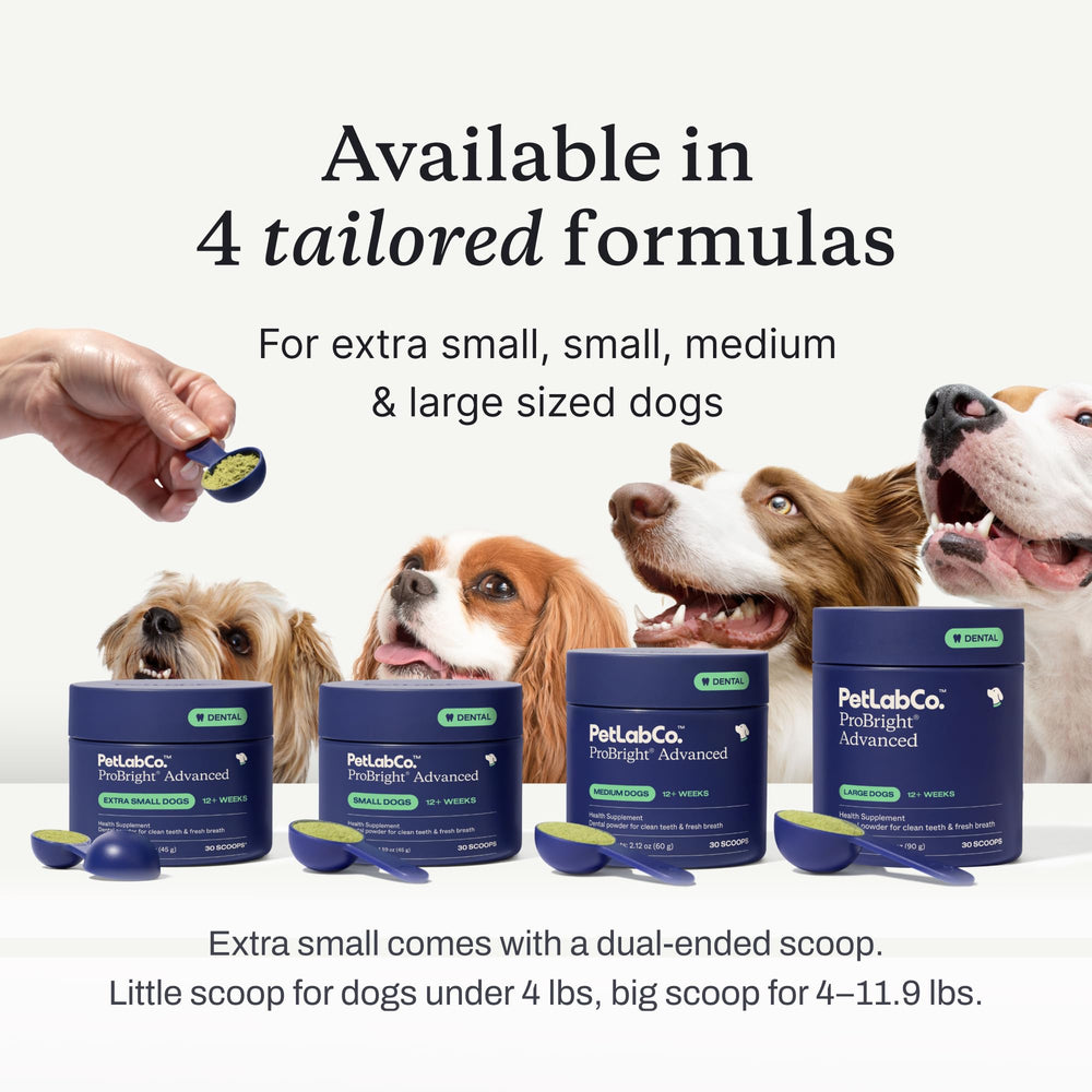 PetLab Co. large dog eating with improved acceptance benefit