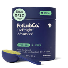 PetLab Co. tub front view showing ProBright for large dogs and clear benefit
