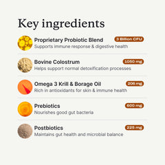 PetLab Co. chew beside a hand to show size suitable for large dogs