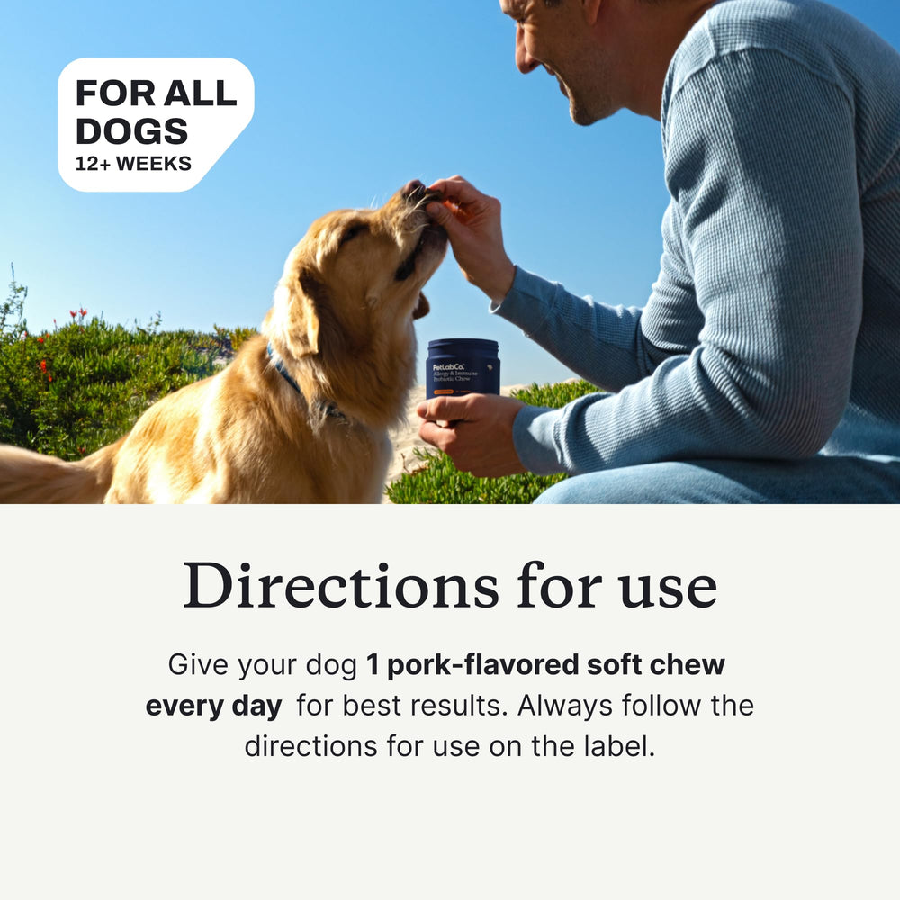 PetLab Co. large dog enjoying a chew, promoting daily supplement routine