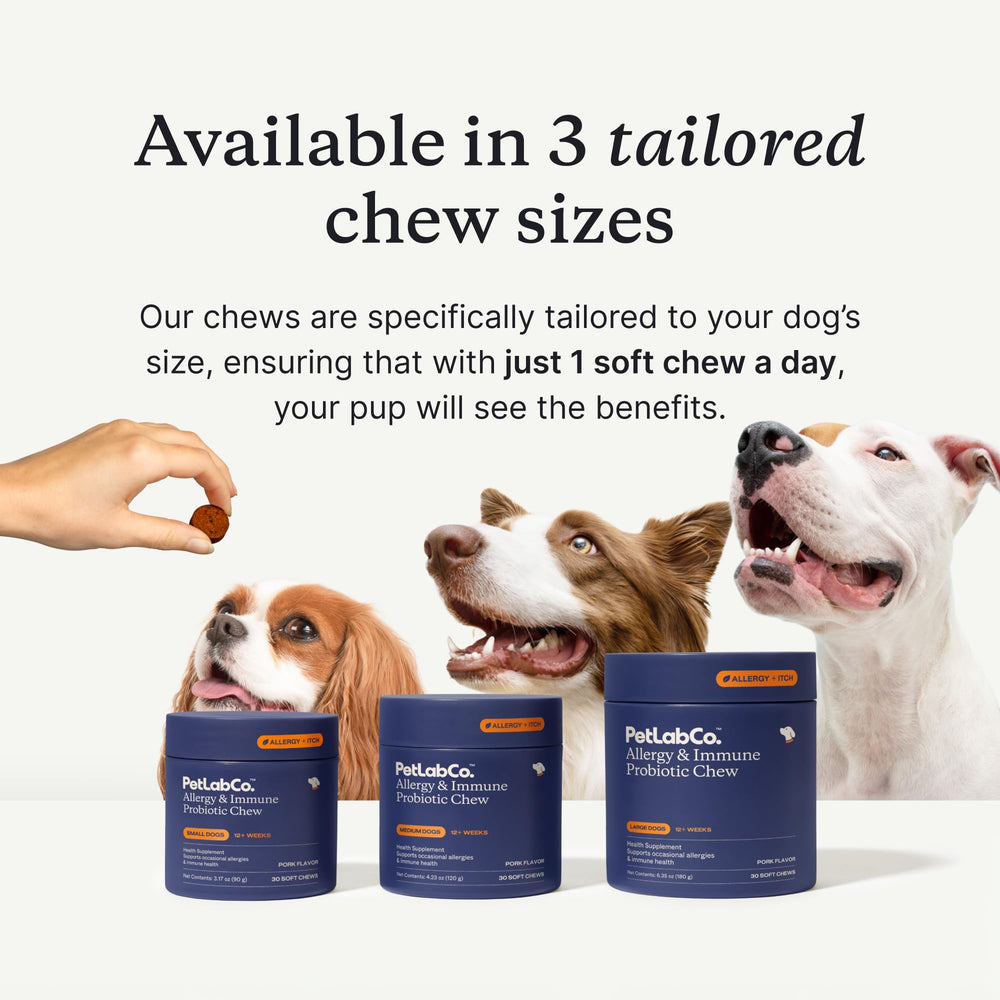 PetLab Co. soft chew close-up displaying texture and easy chewability