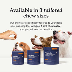 PetLab Co. soft chew close-up displaying texture and easy chewability