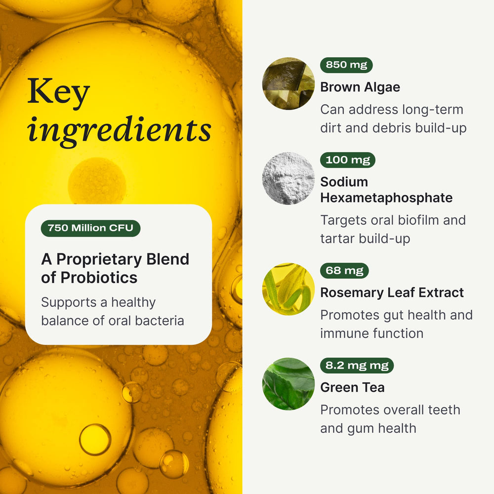 Assorted ingredient sources beside jar showing PetLab Co. quality-sourced components
