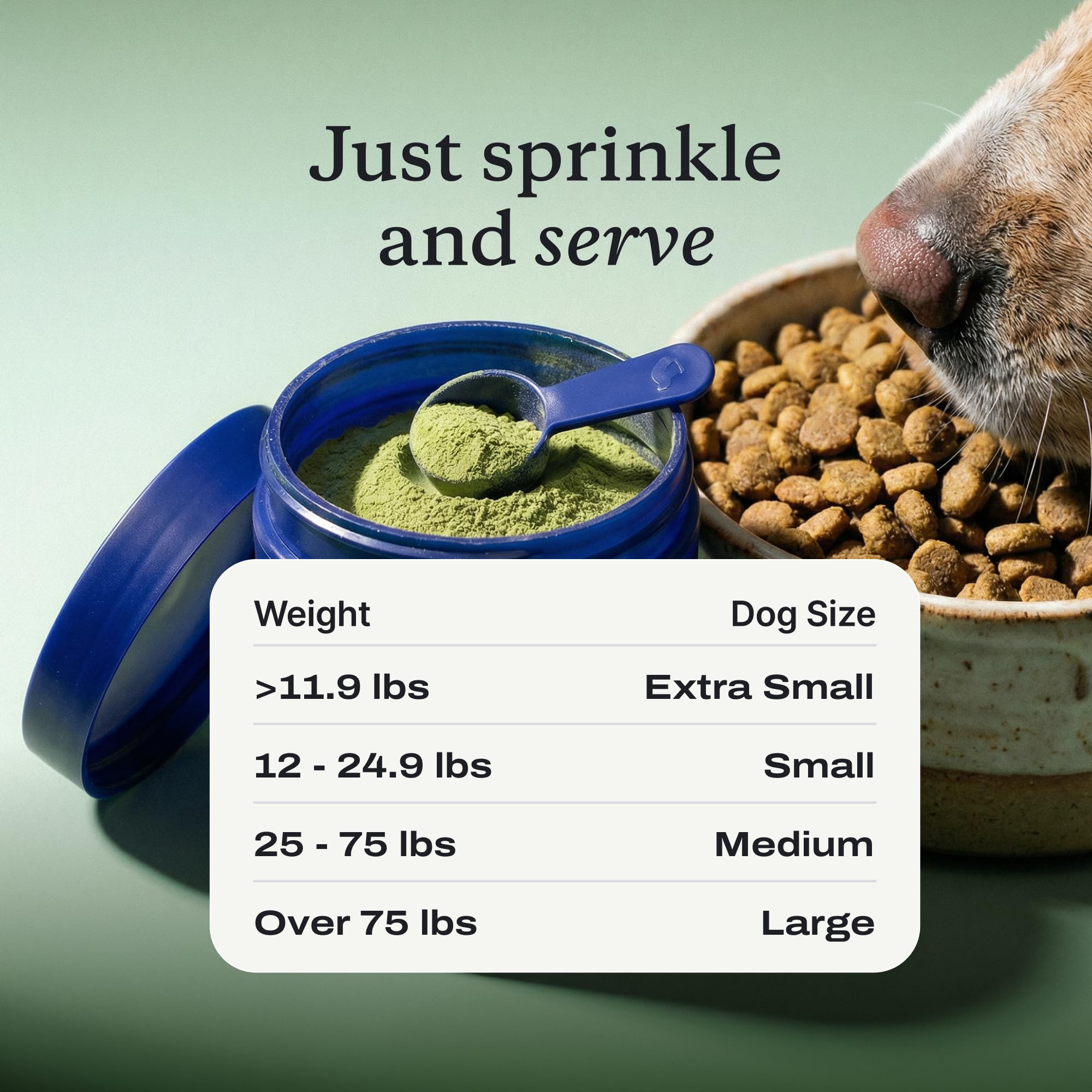 Large dog eating bowl with PetLab Co. powder mixed in, illustrating acceptance and convenience