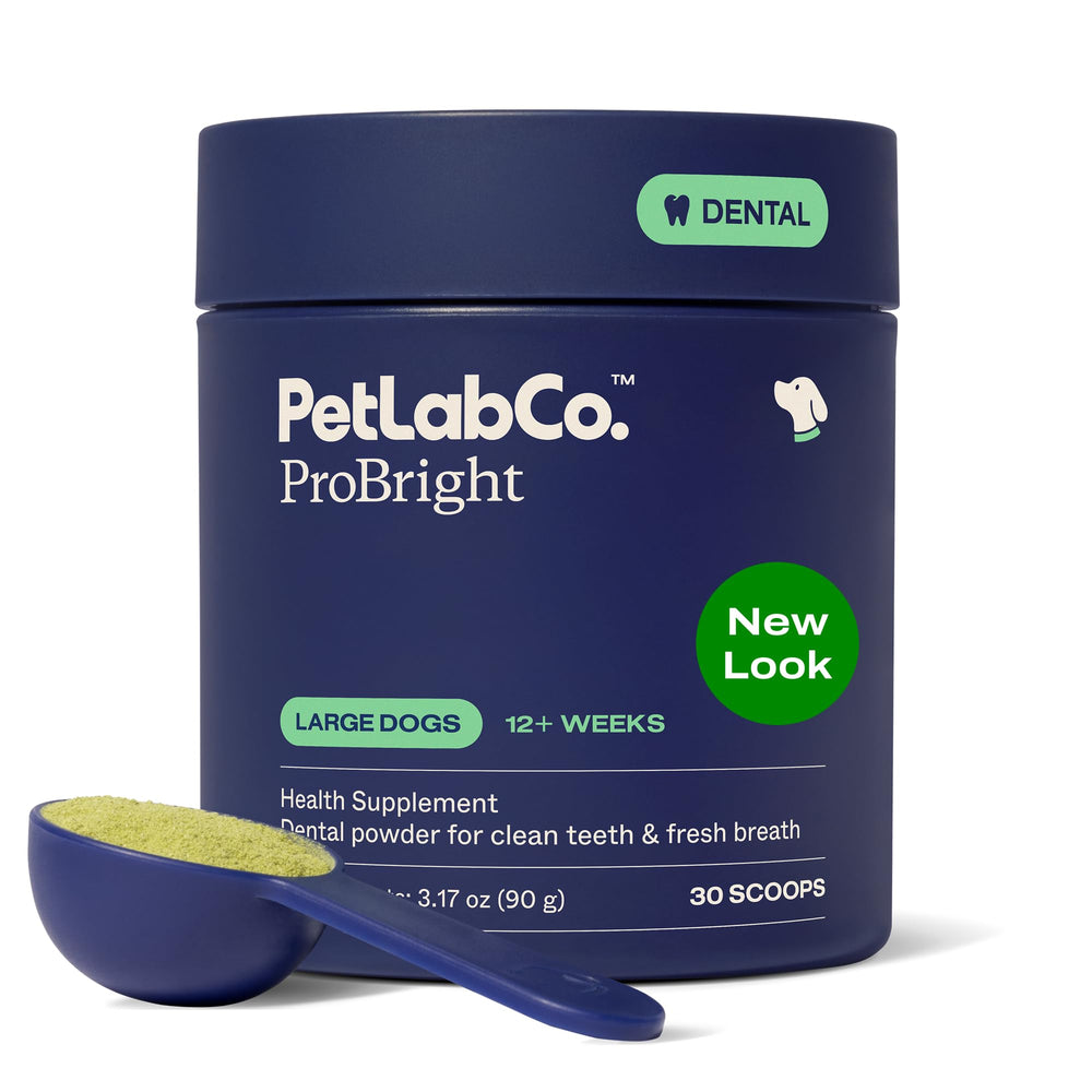 PetLab Co. jar front view showing ProBright dental powder for large dogs and clear label benefit