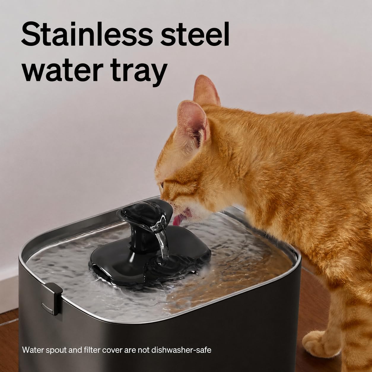 PETLIBRO cat drinking from fountain demonstrating quiet operation and pet comfort