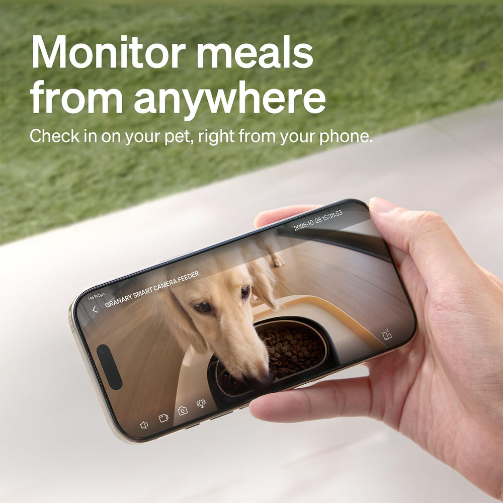 PETLIBRO placed in kitchen to show real-life home integration
