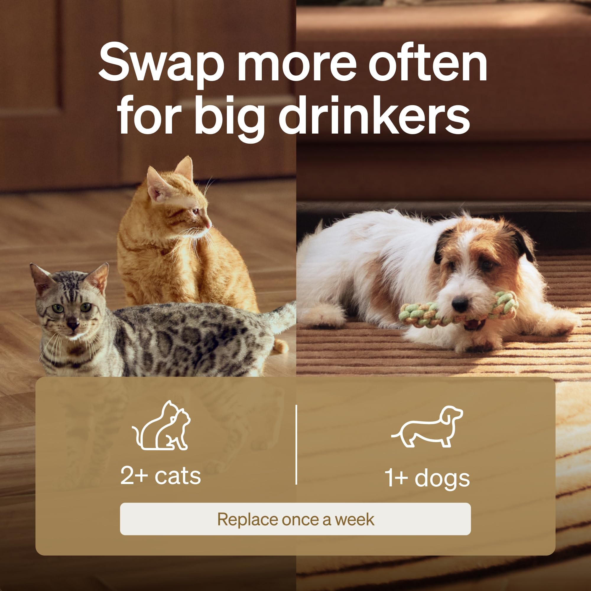 PETLIBRO filter held in hand to show size and simple swap convenience