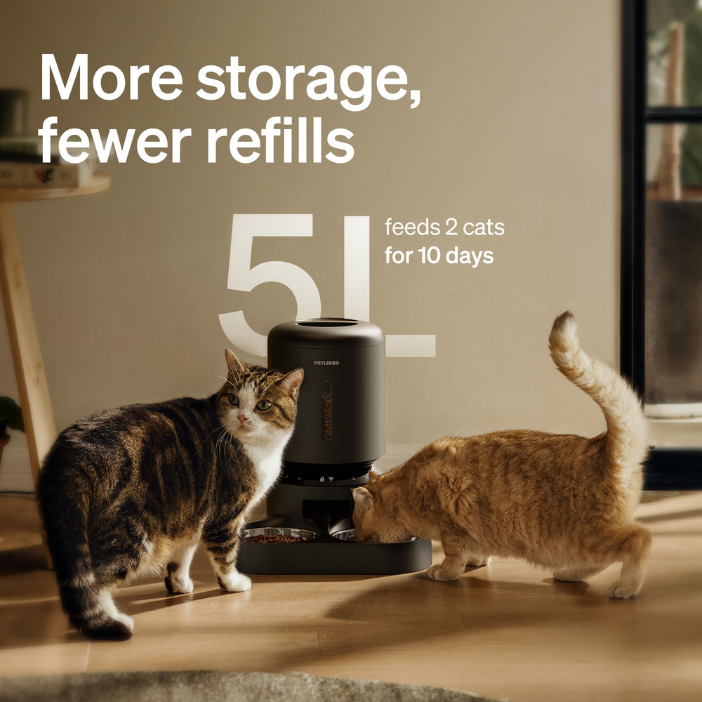 PETLIBRO lifestyle shot with two cats eating peacefully in home setting