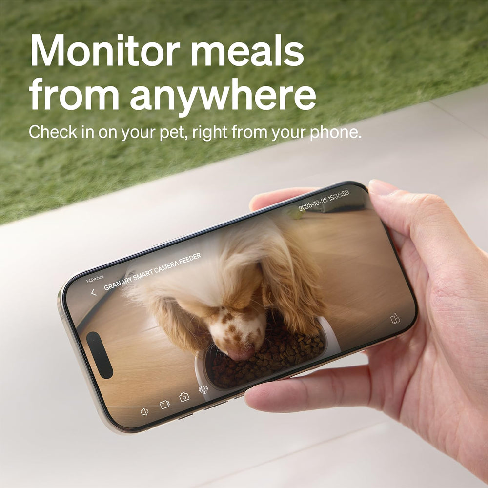 PETLIBRO two-way audio use with owner speaking to pet for comfort
