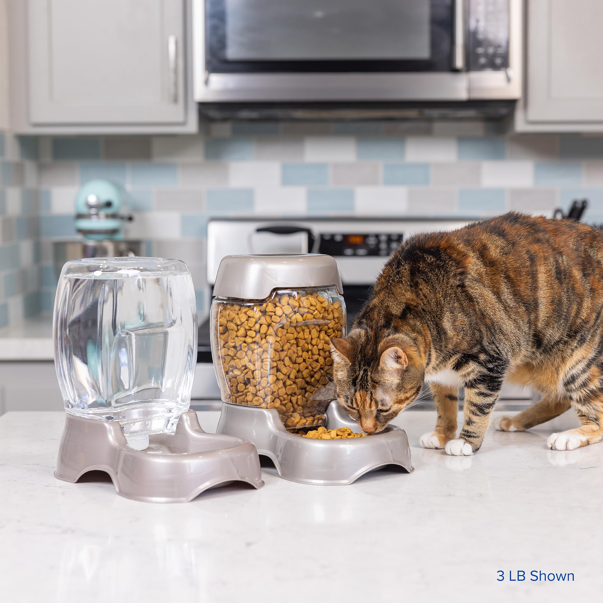 Petmate feeder in use by a cat showing effortless access and reduced mess
