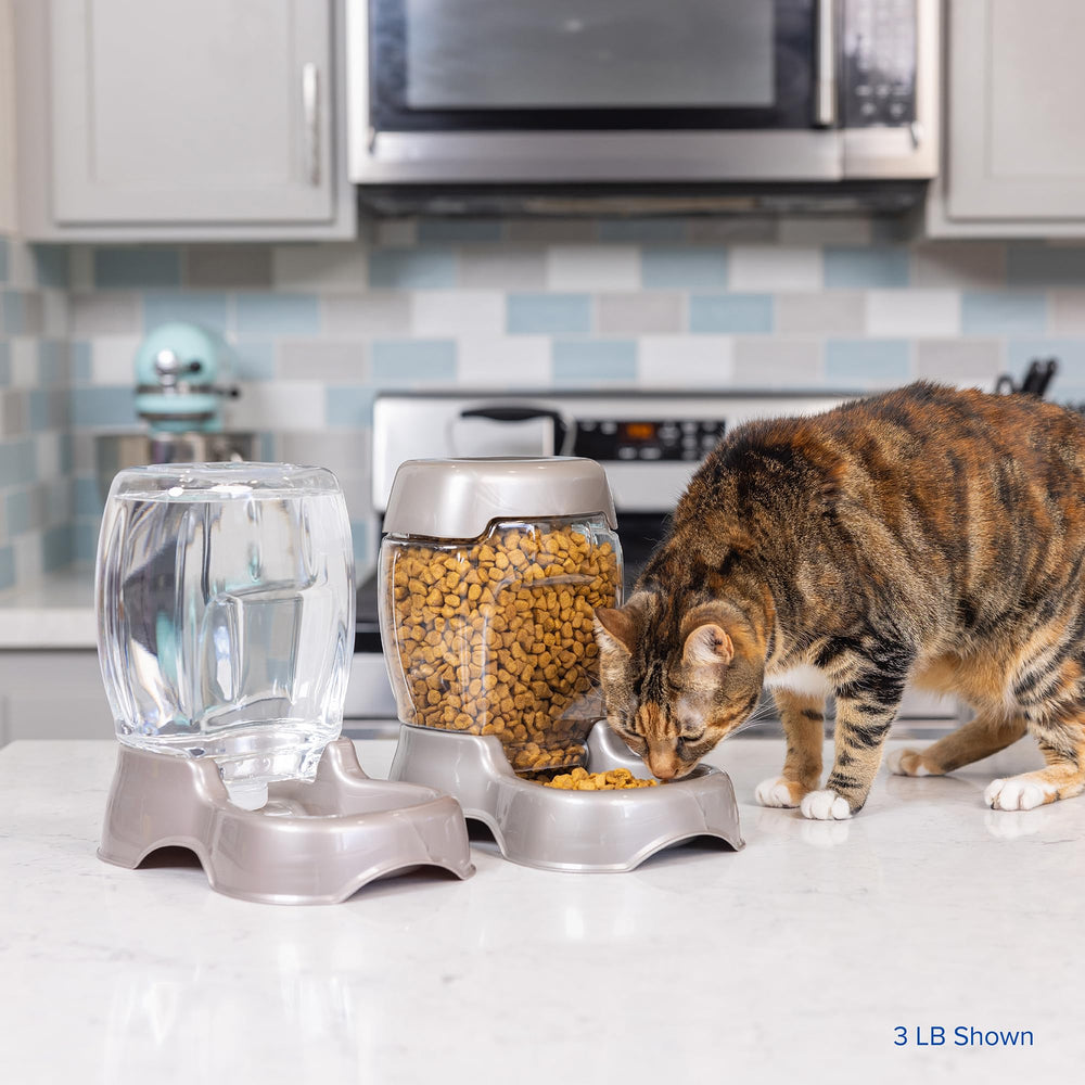 Petmate feeder in use by a cat showing effortless access and reduced mess