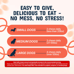 Pets Are Kids Too chew held in hand to show actual size and convenience
