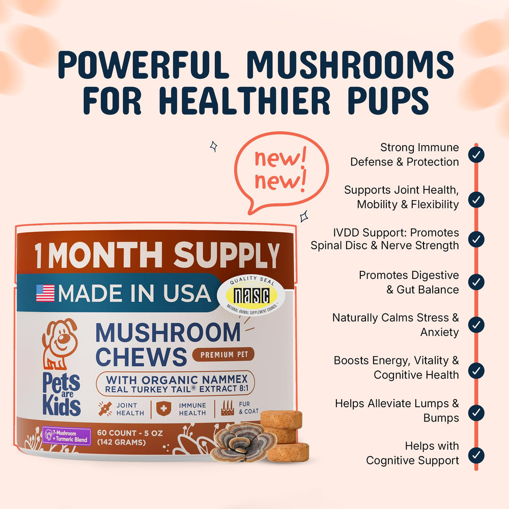 Pets Are Kids Too close-up of soft chew texture highlighting palatability
