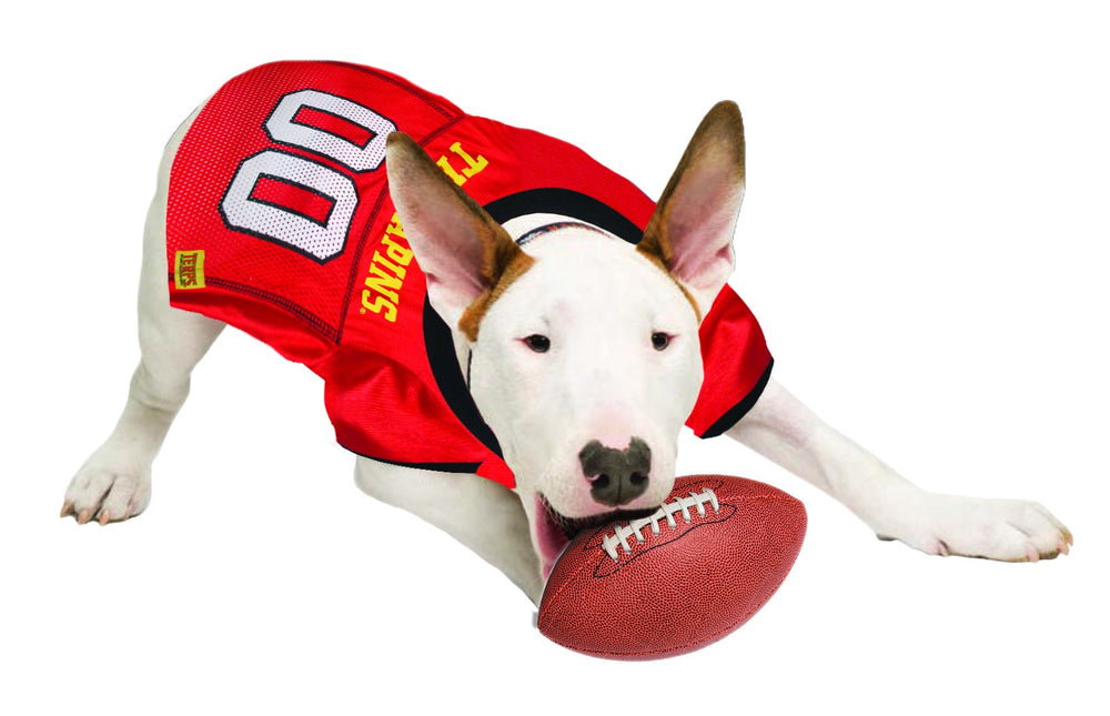 Pets First Maryland close-up of printed logo and number for authentic fan look