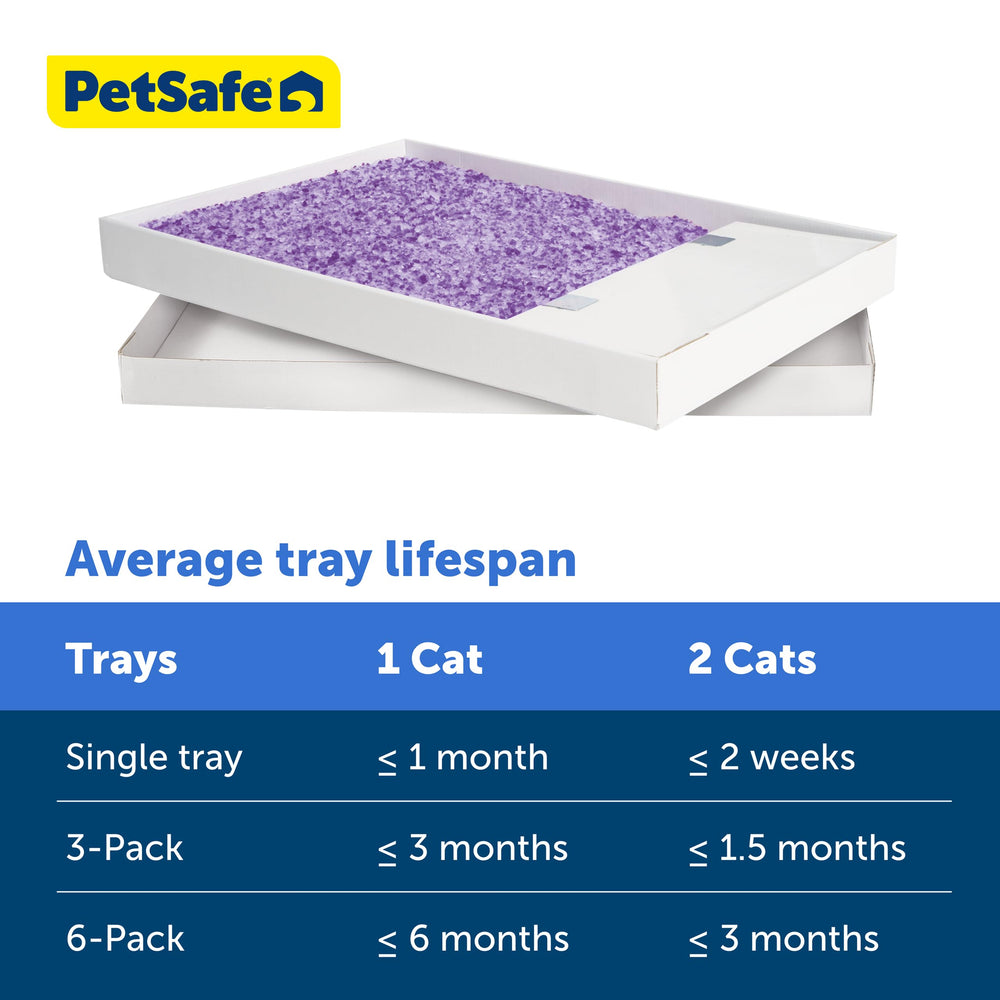 PetSafe cat using tray illustrating comfort and low tracking